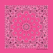 Carolina Creative Bandanna (Fuchsia) Paisley Print 22" x 22" Hav-A-Hank