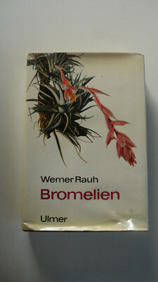 Bromelien - Werner Rauh - (K109)
