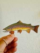 Brown Trout Sticker Fly Fishing Rainbow Brown Brook Trout Fishing Decal