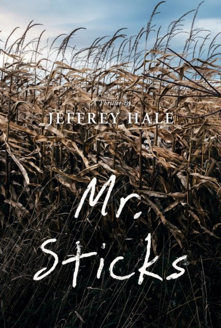 Mr. Sticks by Jeffrey Hale PAPERBACK 9781988281674