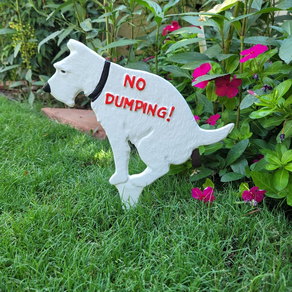How To Keep Dogs Off My Yard
