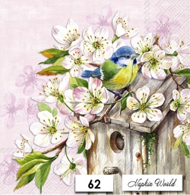 (62) TWO Paper LUNCHEON Decoupage Art Craft Napkins - BIRDHOUSE BIRD BLOSSOMS