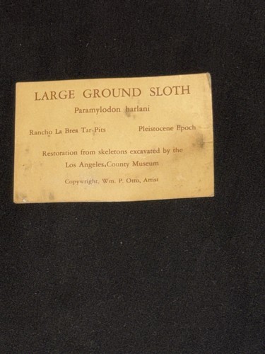 WM P OTTO LARGE GROUND SLOTH CARD LA BREA TARPITS