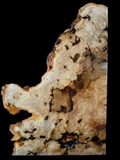 XL INSANELY Curly BIRDSEYE RED OAK Burlwood Blank Craft/EPOXY Wood Turning Wood 