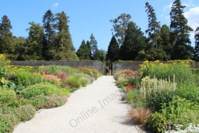 Photo 6x4 Herbaceous Border, Powerscourt, County Wicklow, Ireland Ath na  c2011