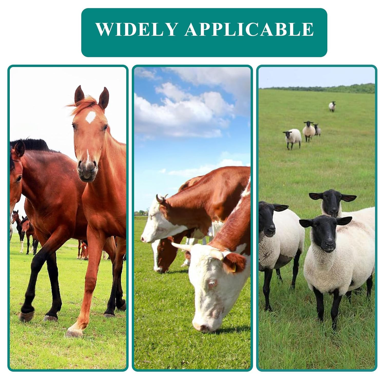 1640 Feet Portable Electric Fence Polywire 1/8" Diameter 6 Strands 500 Meters