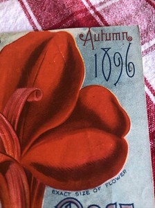 Antique Original Cover Art From Dingee & Conard Co. 1896