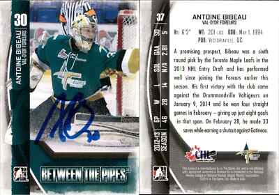 Nice Antoine Bibeau Signed 2013-14 ITG BTP #37 AU Val-d'Or Foreurs & Bonus cards