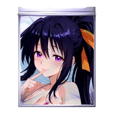 Anime Body Pillowcase Akeno Ver003 High School DXD