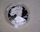 2010-W   SILVER EAGLE  IN PROOF CONDITION BELOW SILVER VALUE