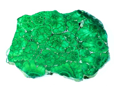 532 CT NATURAL FLOWER PLUME MALACHITE POLISH SLAB TILE UNTREATED GEMSTONE MJ-816