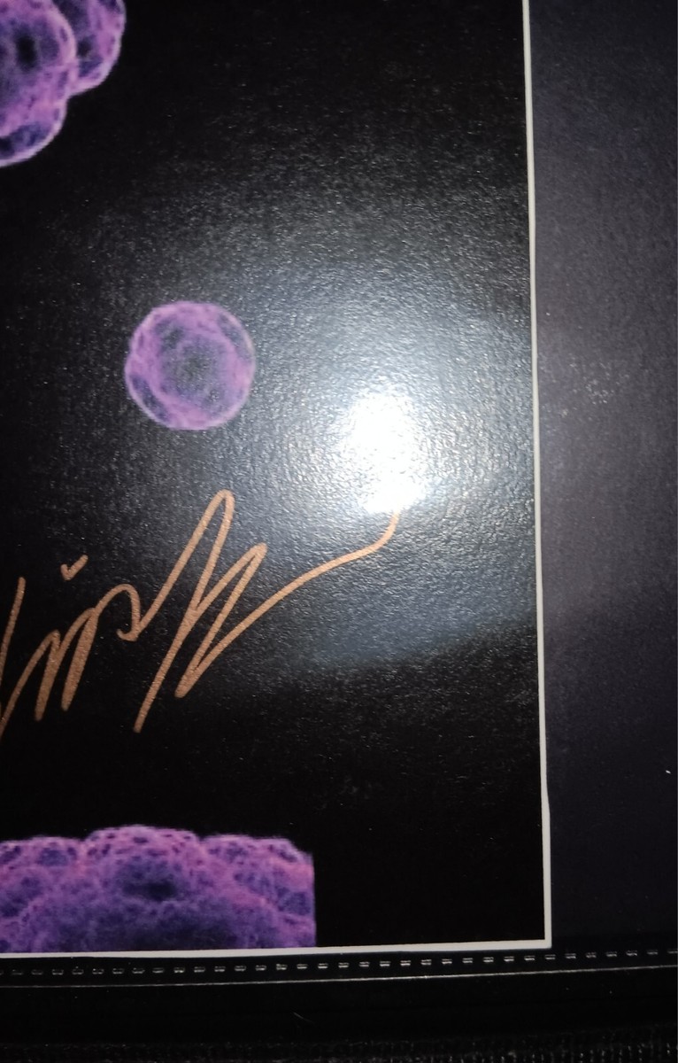 Hum - Band Signed Tour Dates Poster - Official - 2015 Tour - + Hum - Band Signed Tour Dates Poster - Official - 2015 Tour - +