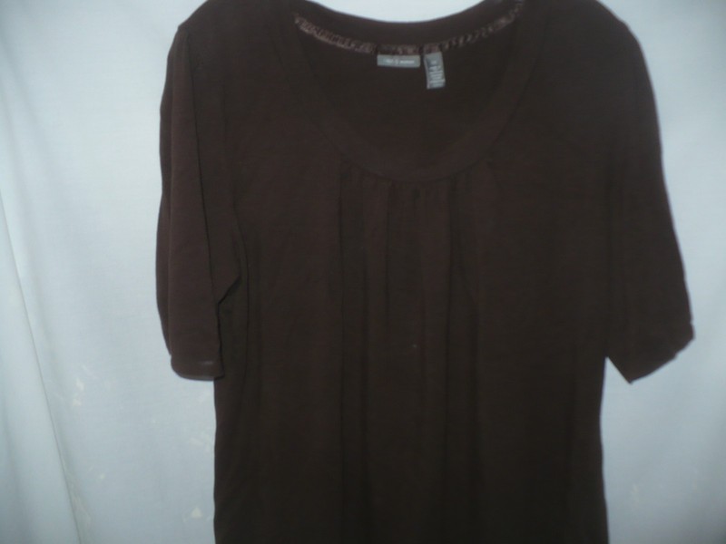 Brown Blouse Round Neck Gathers Short Sleeve 1X