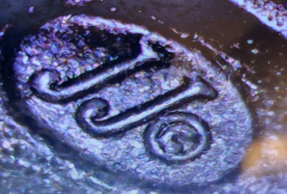 Lote de prendedores de peltre vintage J.J. Jonette tigre cebra triceratop pterosaurio Dimetrodon Foto 3 de 4