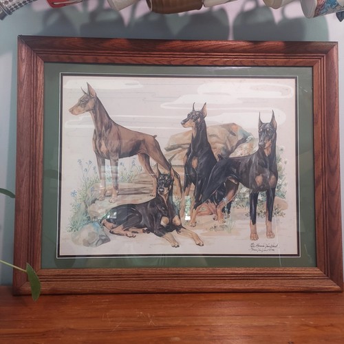 Encadrée orignal dobermen estampe signée par l'artiste Marcia VAN WOERT signé & numéroté - Photo 1 sur 8