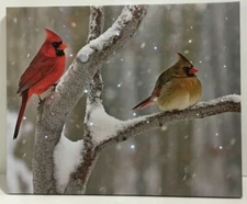 Winter Cardinal Birds LED Light Canvas Picture w Timer Art Home Decor 17 x 13.75