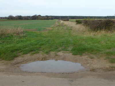 Photo 12x8 Grass track off Broad Drove Grimston Norfolk  c2011