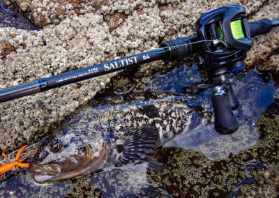 Daiwa Saltwater Lure Fishing Bait Casting Rod 2023 SALTIST
