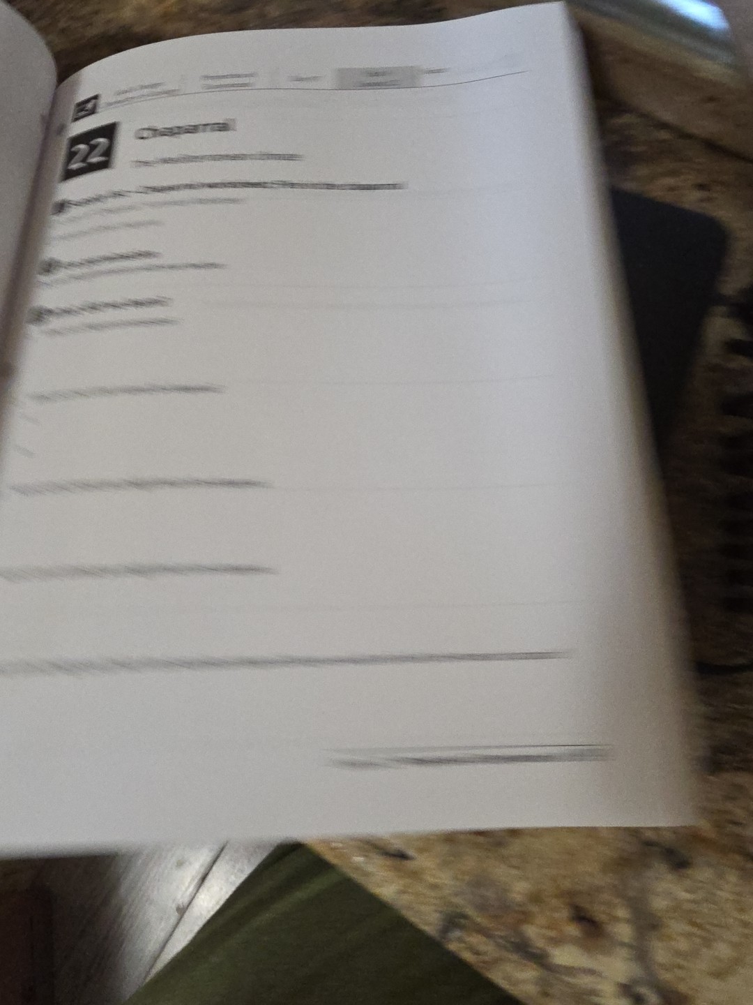 Picture 5 of 6