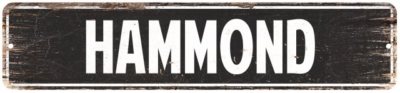 HAMMOND Personalized Street Sign Home Decor Chic Gift 4x18 104180003257