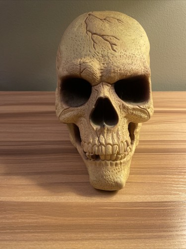 Resin Gargoyle, Light Up Plastic Blow Mold Style Skull & Rubber Skull Halloween - Picture 9 of 18