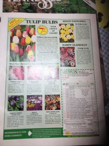 The Tennessee Magazine, Sequatchie Valley Edition AUGUST 1992 & APRIL 1993 Good - Picture 3 of 13