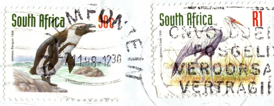 SOUTH AFRICA 1998 COVER SENT JORDAN PHILATELIC 2 STAMPS ENDANGERED FAUNA BIRDS - Image 2 of 4