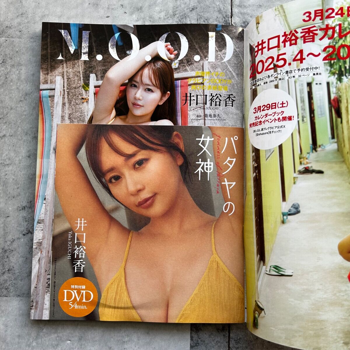 Weekly Play Boy No.13-14 2025 Yuka Iguchi Japanese Playboy