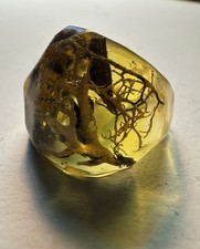 REAL Lichen Moss Wood Resin Ring Yellow Organ...
