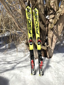 salomon c305 binding