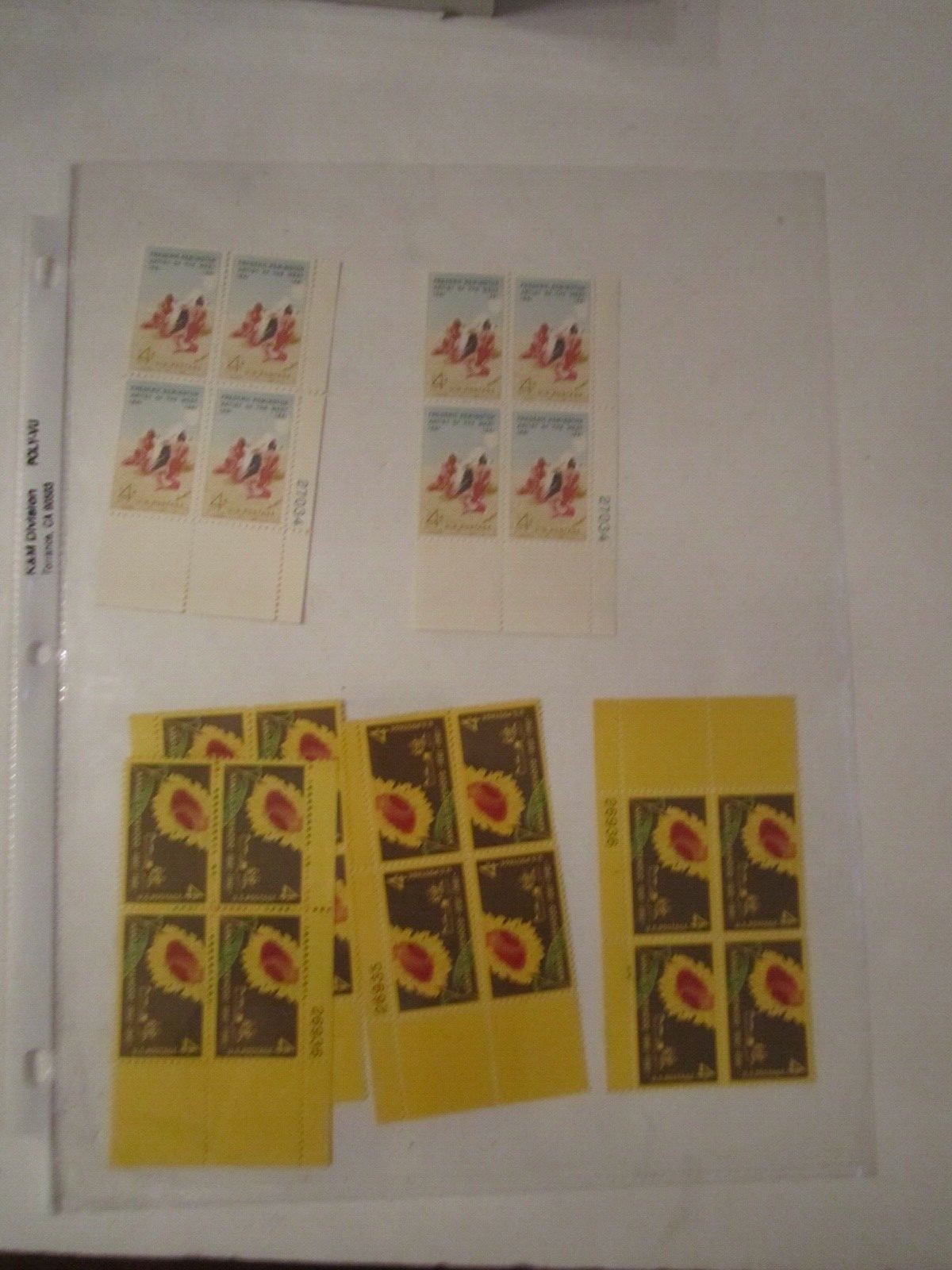 Picture 3 of 5