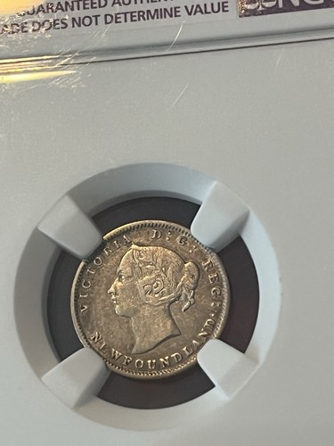 1896 Newfoundland 5 Cent Graded VF NGC - Bild 3 von 3