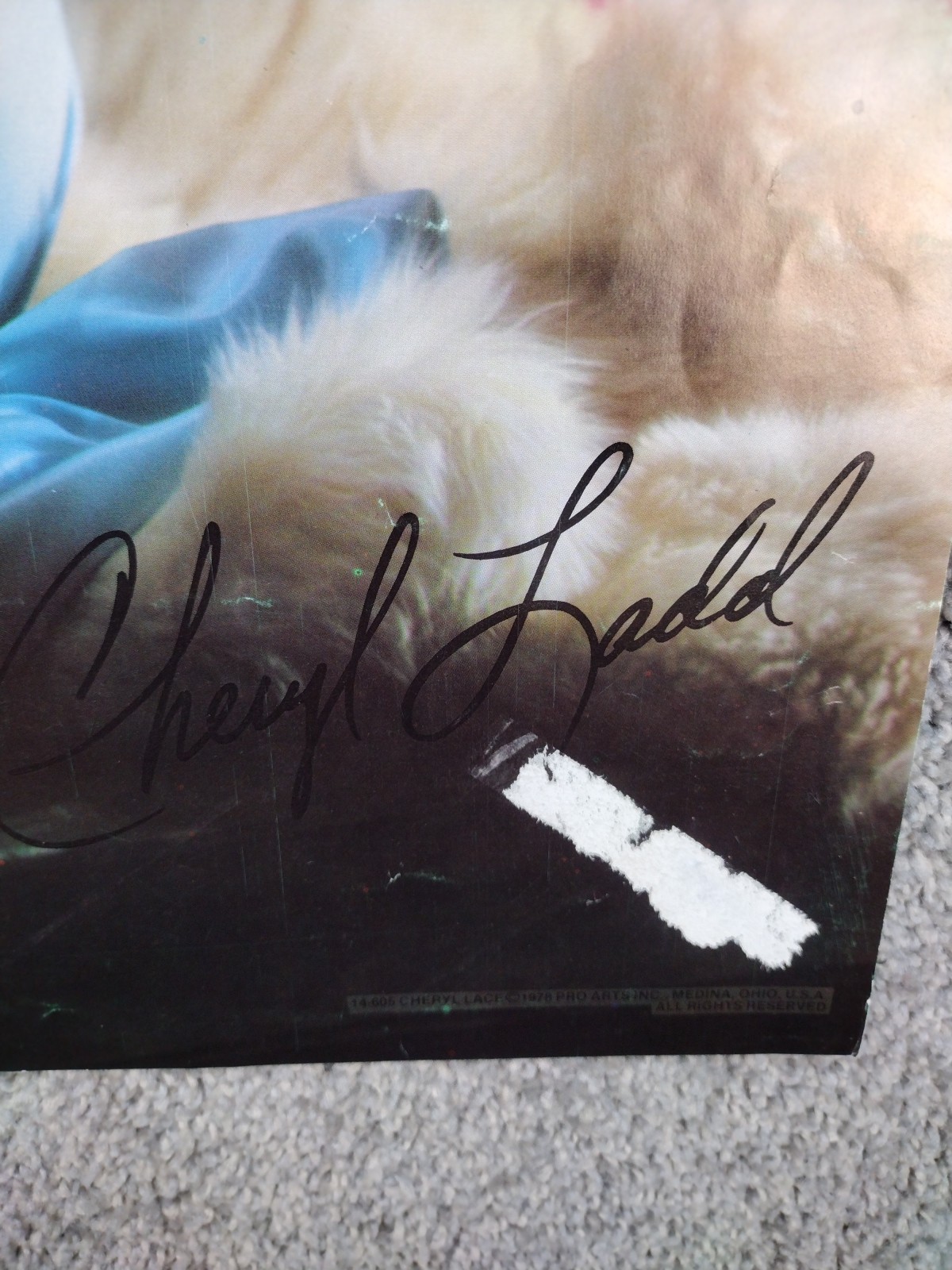 Vintage Lot of 17 80s 70s Sexy Girls  Poster Pin Up Man Cave Wall Art Hollywood