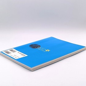 Sakura Wars 2: Thou Shalt Not Die Strategy Guide Book Heaven Vol Sega Saturn SS