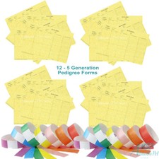 12 - 5 Generation Pedigree Forms Quality Certificates Puppy Breeder  ID Collars