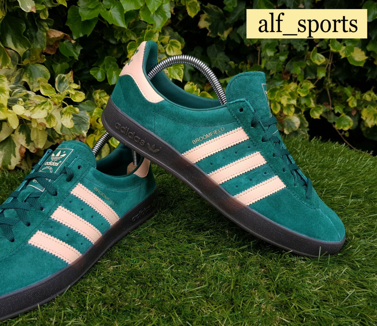 adidas bermuda green