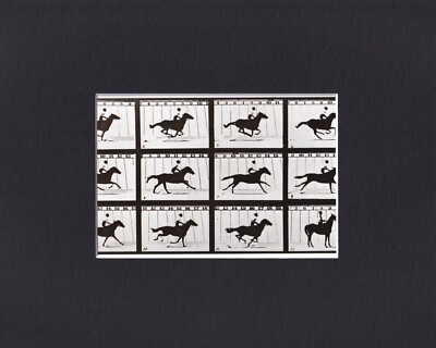 8X10 Matted Print American West Picture: Meybridge 1878, Study of Horse Motion