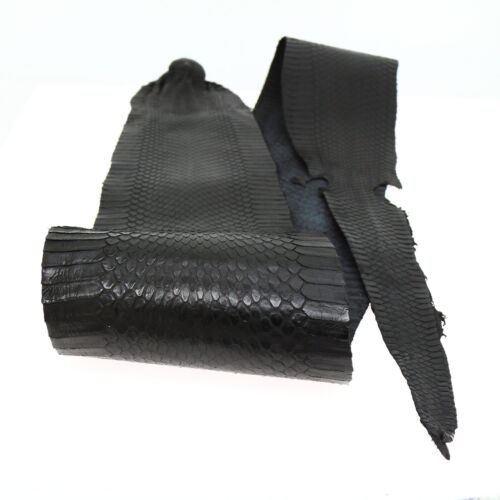Black Cobra Snake Skin with Head Snakeskin Taxidermy Hide Leather Craft Supply - Picture 2 of 7