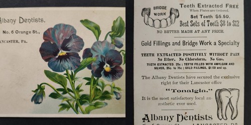 1880 antique ALBANY DENTISTS lancaster pa TEETH illustrated AD TRADE CARD pansy