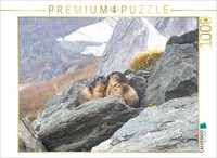 Calvendo Puzzle Alpine Marmots | 1000 Pieces, Finished Size 25.2 × 18.9 In (64 ×