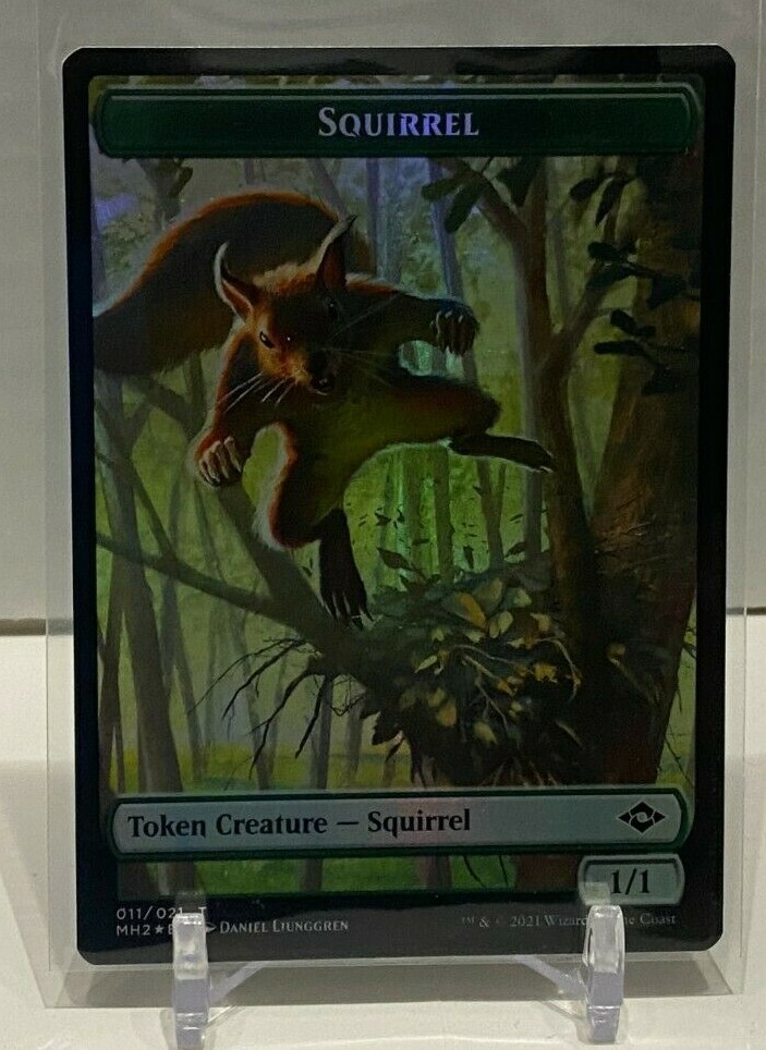 Foto 11 di 57