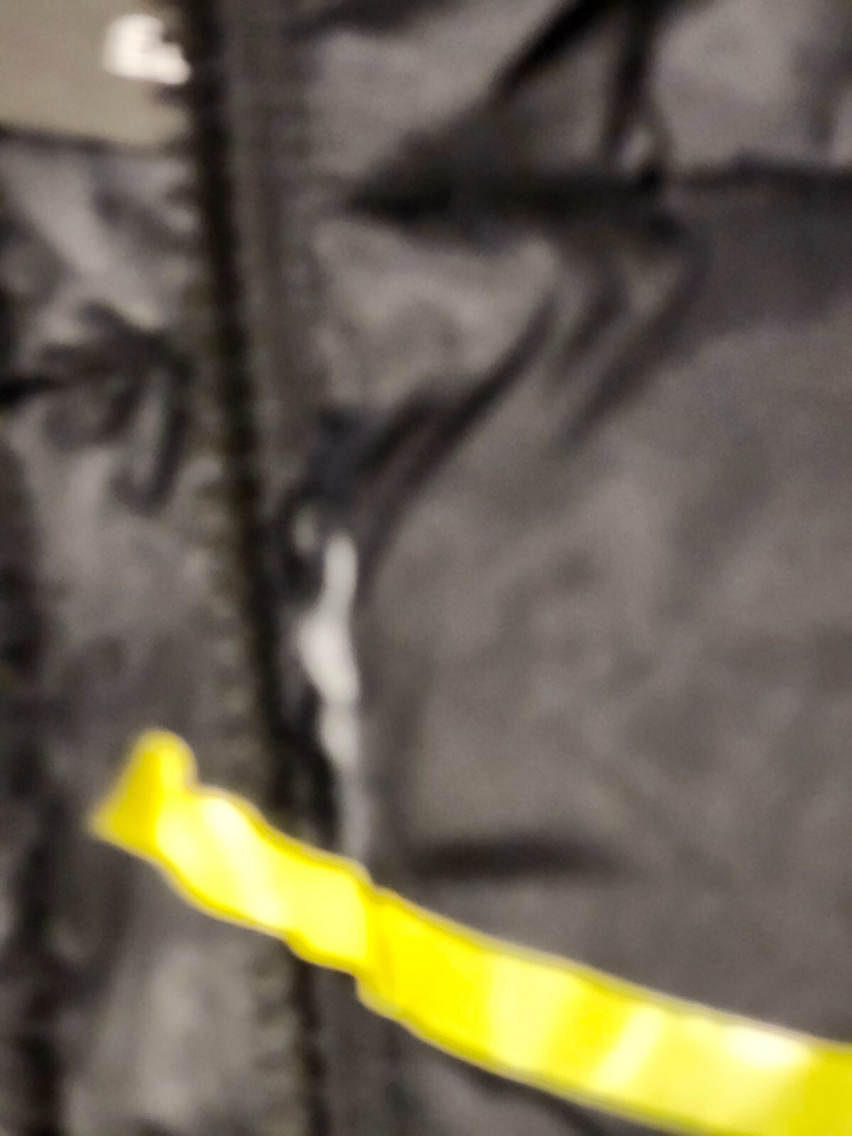 Picture 3 of 6