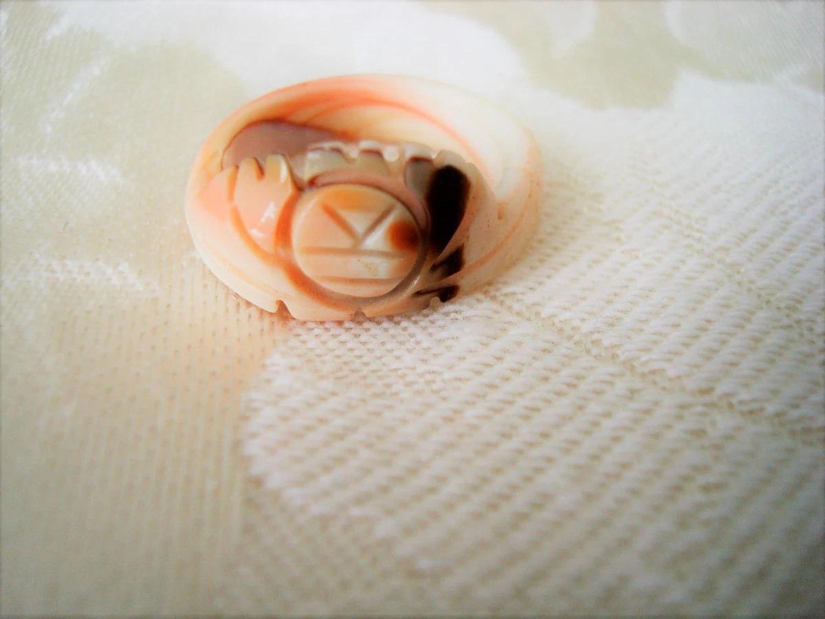 Vintage Carved Conch Shell Ring Size 6 eBay