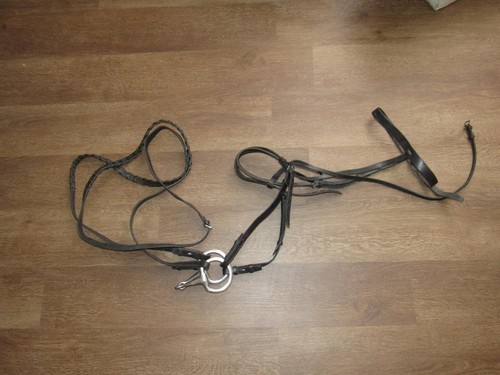 Western Horse Tack Set ~ Headstall ~ Bridle ~ Bit & Braided Reins ~ Super Clean