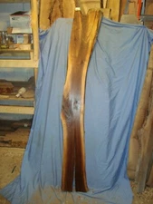 black walnut live edge slab natural edge lumber crafts  wood table top