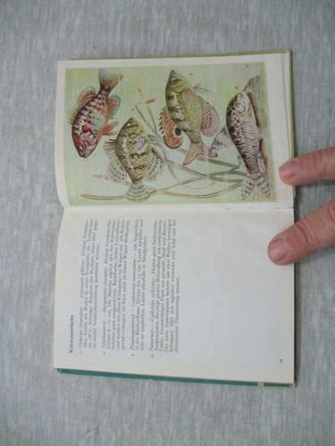 The aquarium, W. Meyer,h/c,illustrated,1st German edit.,Switzerland,50's. cs3169 - Picture 9 of 10
