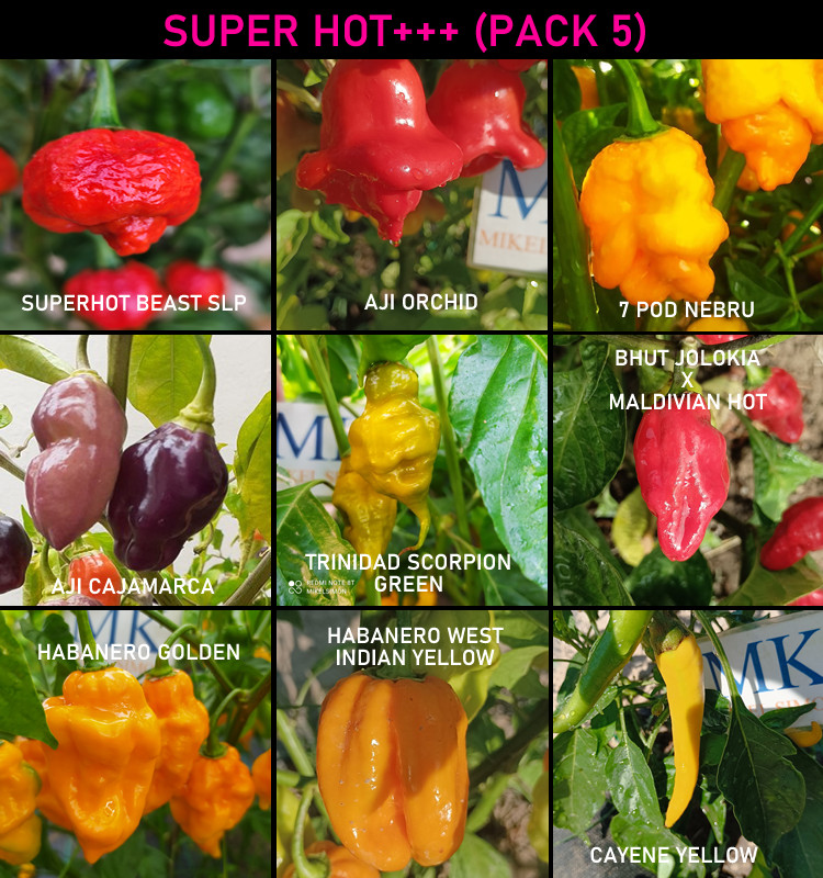 SUPER HOT 10+++ , 9 chiles mas picantes del mundo , 90 semillas, pack (5)
