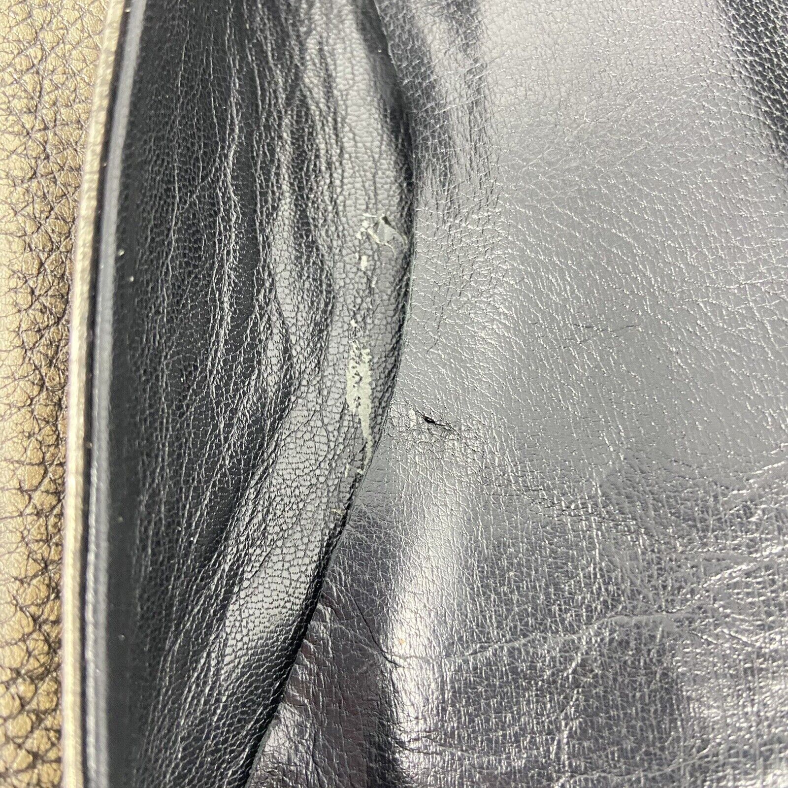 Picture 12 of 12