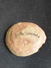 Mazon Creek Palaeocaris Typus Shrimp Fossil/Specimen 3
