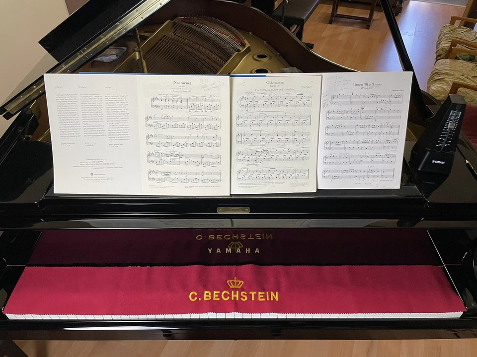 Cubierta de llaves de piano C. BECHSTEIN bordada para pianos de cola y verticales Foto 4 de 4